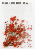 Ver Art�culo